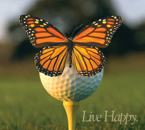 Graphic icon, branding and slogan created for a  world class golf living development in the Texas Hill Country. Used in Texas Monthly spreads, Television, Direct Mail, Metro Newspaper and Point-of-Sale. Yes we really photographed a monarch butterfly on a golf ball. We never mentioned that it was freeze dried.